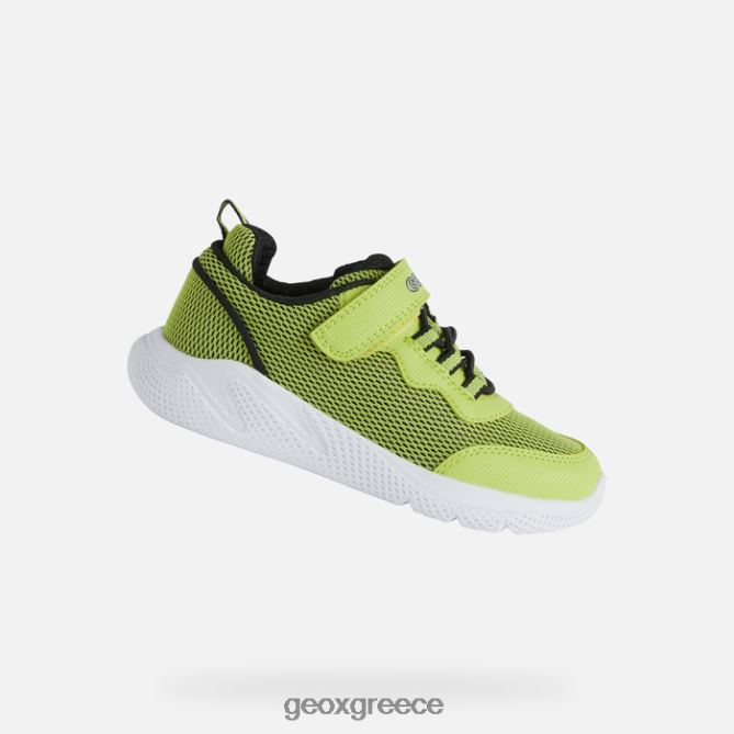 4DBLR01351 ασβέστη/μαύρο Geox sprintye junior