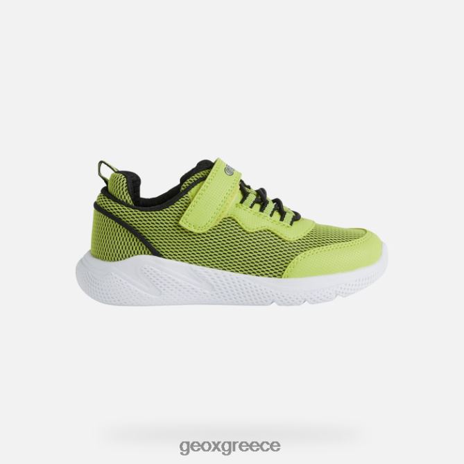 4DBLR01351 ασβέστη/μαύρο Geox sprintye junior