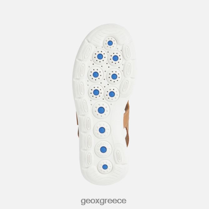 4DBLR038 καμήλα Geox γυναίκα spherica ec5w