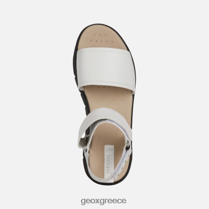4DBLR0515 άσπρο Geox dandra 40 γυναίκα