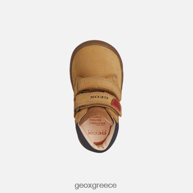 4DBLR01480 μπισκότο Geox μωρό μακία